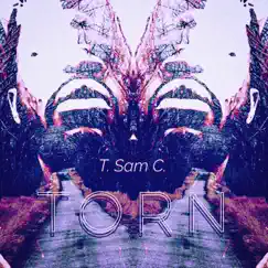 Torn - Single by T. Sam album reviews, ratings, credits