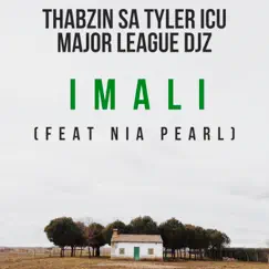 Imali (feat. Nia Pearl) - Single by Thabzin SA, Tyler ICU & Major League album reviews, ratings, credits
