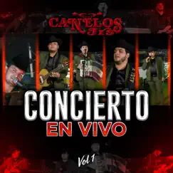 Concierto En Vivo, Vol. 1 by Canelos Jrs album reviews, ratings, credits