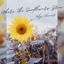Where the Sunflowers Grow - Single by Rhys Clements album reviews, ratings, credits
