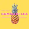 SOMMARFLEX - Single album lyrics, reviews, download