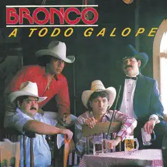 A Todo Galope by Bronco album reviews, ratings, credits