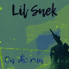 On the Run - Single by Lil Snek album reviews, ratings, credits