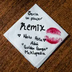 Sería Un Placer Remix Song Lyrics