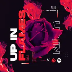 Up in Flames (John McIntyre Remix) Song Lyrics