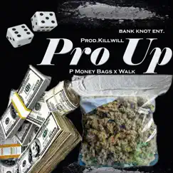 Pro Up (feat. Walk) - Single by P. Money Bags album reviews, ratings, credits
