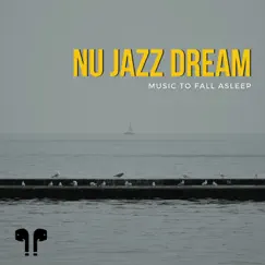 Nu Jazz Dream - Music to Fall Asleep, Chillout by Nu Jazz Chillout album reviews, ratings, credits
