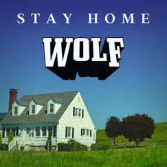 Stay Home - Single by Wolf album reviews, ratings, credits