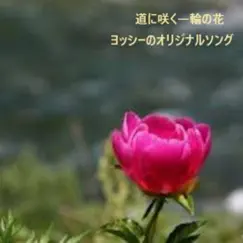 Lonely Beautiful Flower Song Lyrics
