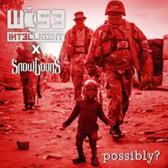 Possibly? - Single by Wise Intelligent & Snowgoons album reviews, ratings, credits