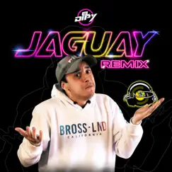Jaguay (Remix) Song Lyrics