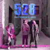 528 (feat. Thomas & Cyrus) - Single album lyrics, reviews, download
