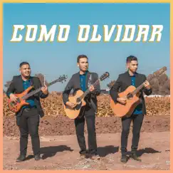 Como Olvidar - Single by Grupo Linaje Escogido album reviews, ratings, credits