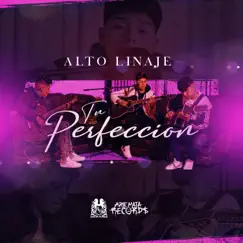 Tu Perfección Song Lyrics