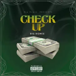 Check Up - Single by BigHomiee album reviews, ratings, credits