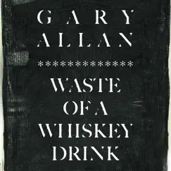Waste Of A Whiskey Drink - Single by Gary Allan album reviews, ratings, credits