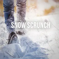 Snow Scrunch: Enjoy the Silence of a Winter Walk in a Snow-covered Landscape by Alpine Sounds album reviews, ratings, credits