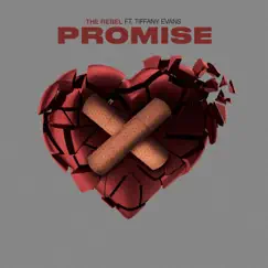 Promise - Single (feat. Tiffany Evans) - Single by Nay Nay The Rebel album reviews, ratings, credits