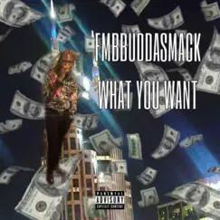 What You Want - Single by Budda Smack album reviews, ratings, credits