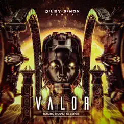 Valor (Diley Simon Remix) Song Lyrics