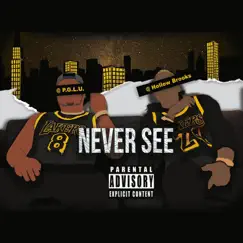 Never See (feat. Hollow Brooks) - Single by P.G.L.U album reviews, ratings, credits