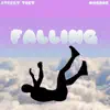 Falling (feat. Quadoe) - Single album lyrics, reviews, download