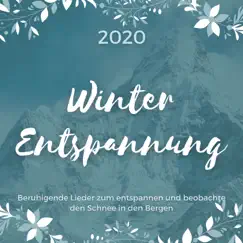 Winter Entspannung 2020 - Beruhigende Lieder zum entspannen und beobachte den Schnee in den Bergen by Entspannen Akademie album reviews, ratings, credits