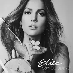 Say Goodbye - Single by Elize album reviews, ratings, credits