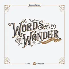 Words of Wonder (Deluxe Edition) by Summit Worship album reviews, ratings, credits