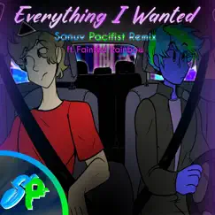 Everything I Wanted (feat. Fainted Rainbow) [Remix Cover] Song Lyrics