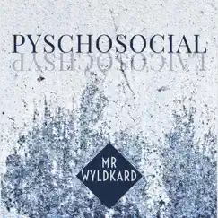 Psychosocial by Mr. Wyldkard album reviews, ratings, credits