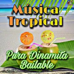Música Tropical - Pura Dinamita Bailable by Varios Artistas album reviews, ratings, credits