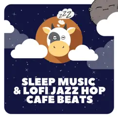 Lofi Chill Beats & Study Music Song Lyrics