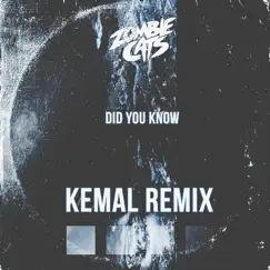 Did You Know (Kemal Remix) Song Lyrics