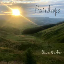 Raindrops - Single by Stevie Gardner album reviews, ratings, credits