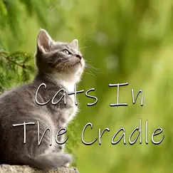 Cats in the Cradle Song Lyrics