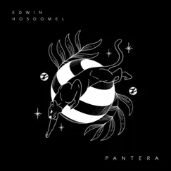 Pantera (feat. Edwin Hosoomel) Song Lyrics