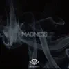 Madness (Instrumental) song lyrics