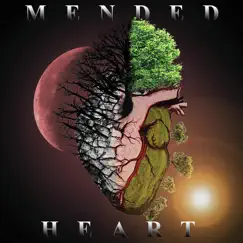 Mended Heart Song Lyrics