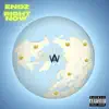 Endz Right Now (feat. Charlie Trees, Rhimez, shannon parkes & Ten Dixon) - Single album lyrics, reviews, download