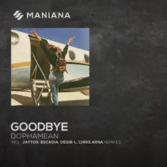 Goodbye (Escadia Remix) Song Lyrics