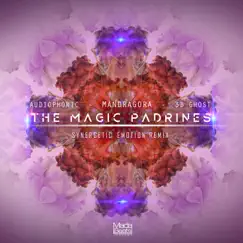 The Magic Padrines (Synergetic Emotion Remix) Song Lyrics
