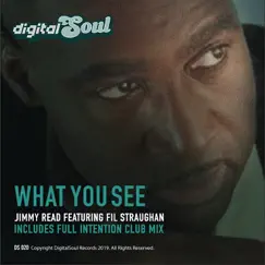 What You See (Radio Edit ) [feat. Fil Straughan] Song Lyrics