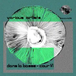 Dans la Basse-cour VI by Various Artists album reviews, ratings, credits