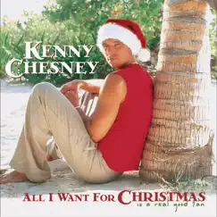 All I Want For Christmas Is A Real Good Tan (Deluxe Version) by Kenny Chesney album reviews, ratings, credits
