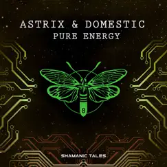 Pure Energy - Single by Astrix & Domestic album reviews, ratings, credits