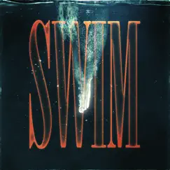 Swim (feat. Keelan Donovan) - Single by DVBBS & Sondr album reviews, ratings, credits