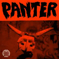 Panter (Extended) [feat. Kasai Allstars & Basokin] Song Lyrics