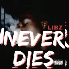 Never Dies - Single by Libz album reviews, ratings, credits