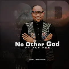 No Other God - Single by Dr Jay Pee album reviews, ratings, credits